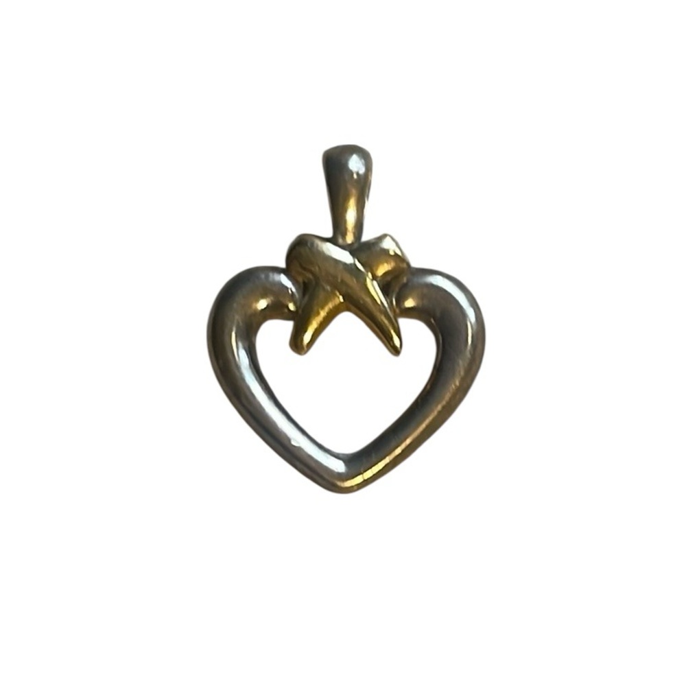Precious Precious 925 14k Heart Pendant